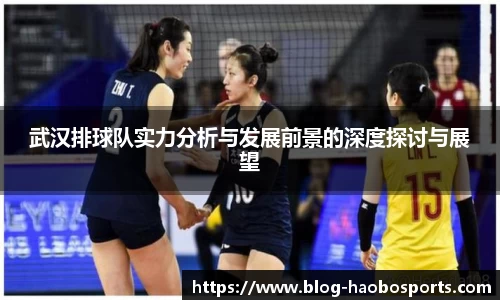 武汉排球队实力分析与发展前景的深度探讨与展望